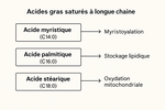 Acides gras saturés à longue chaîne