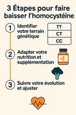 Homocystéine et MTHFR